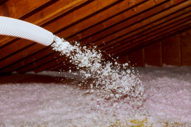 Best DIY Insulation Kits and Guidance in Etowah, TN