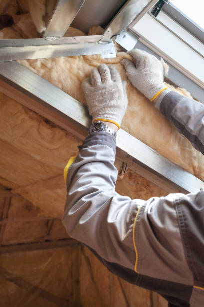 Best Geographic-Specific Insulation Services in Etowah, TN